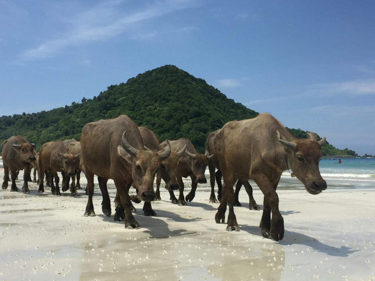 10 Pantai Terbaik di Lombok yang Wajib Kamu Kunjungi
